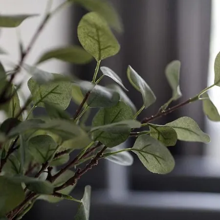 Urban Chic - Rynek Squre - Great Location & Widok * Wrocław