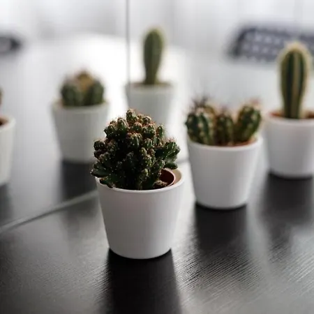 Urban Chic - Rynek Squre - Great Location & Widok * Wrocław