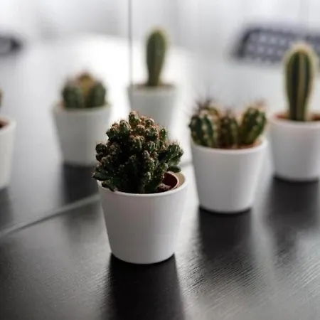 Apartman Urban Chic - Rynek Squre - Great Location & Widok Wrocław