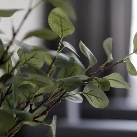 Urban Chic - Rynek Squre - Great Location & Widok Apartman