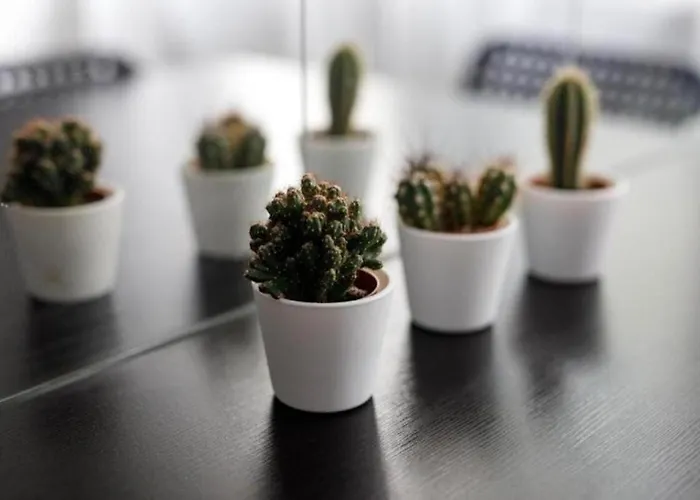 Apartman Urban Chic - Rynek Squre - Great Location & Widok Wrocław