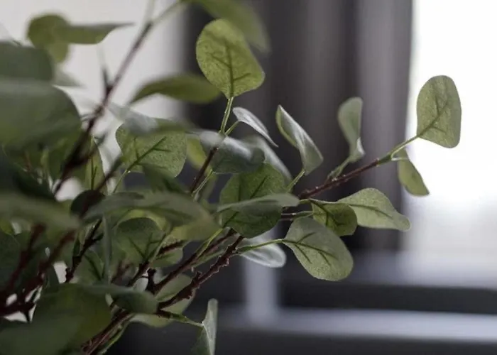 Urban Chic - Rynek Squre - Great Location & Widok Apartman